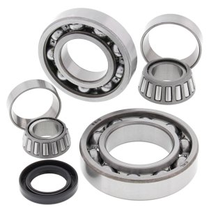 Kawasaki KLF300B Bayou Differential Bearing & Seal Kit - Rear - All Balls Racing - `88-`05